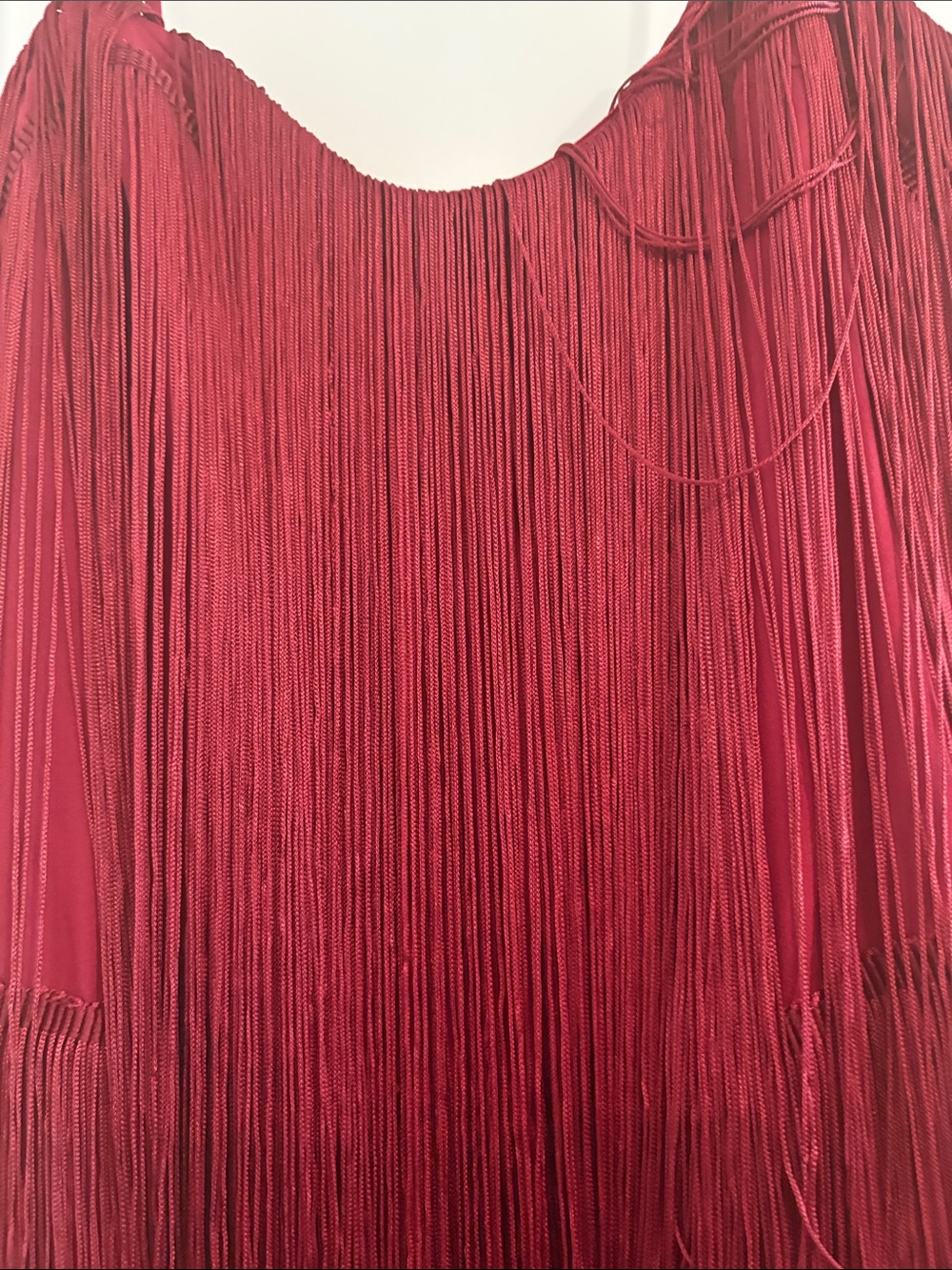 Commense Burgundy Fringe Spaghetti-Strap Mini Dress - Picture 3 of 5